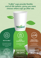 Load image into Gallery viewer, Stay Cool 16oz/450ml Paper Cup Box