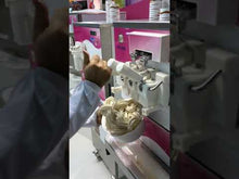 Load and play video in Gallery viewer, Iceteam Soft Serve Machine INOX 603
