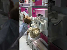 Load and play video in Gallery viewer, Iceteam Soft Serve Machine INOX 603