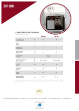 Load image into Gallery viewer, Iceteam Soft Serve Machine INOX 301