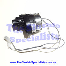 Load image into Gallery viewer, Paddle Motor CDC BT01 for Juice Machine