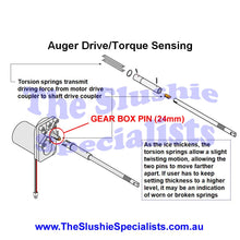 Load image into Gallery viewer, BUNN Pin, Gear Box 24mm .125od x .938