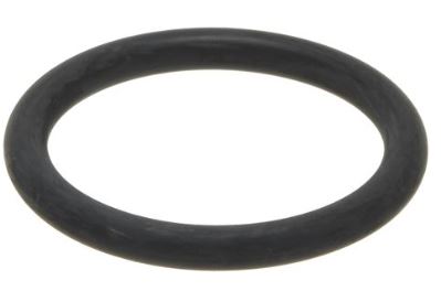 Carpigiani Plunger O-Ring IC541000153