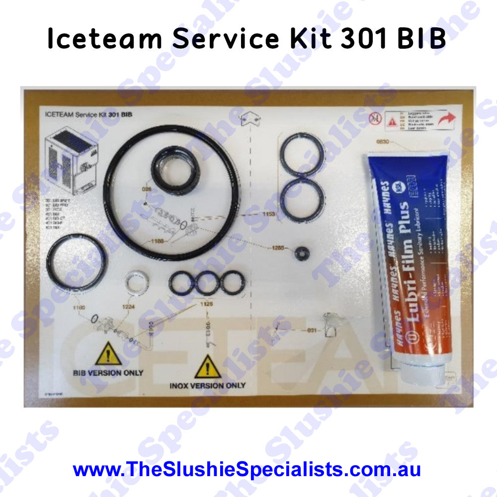 Iceteam / Carpigiani 301 BIB - Service Kit