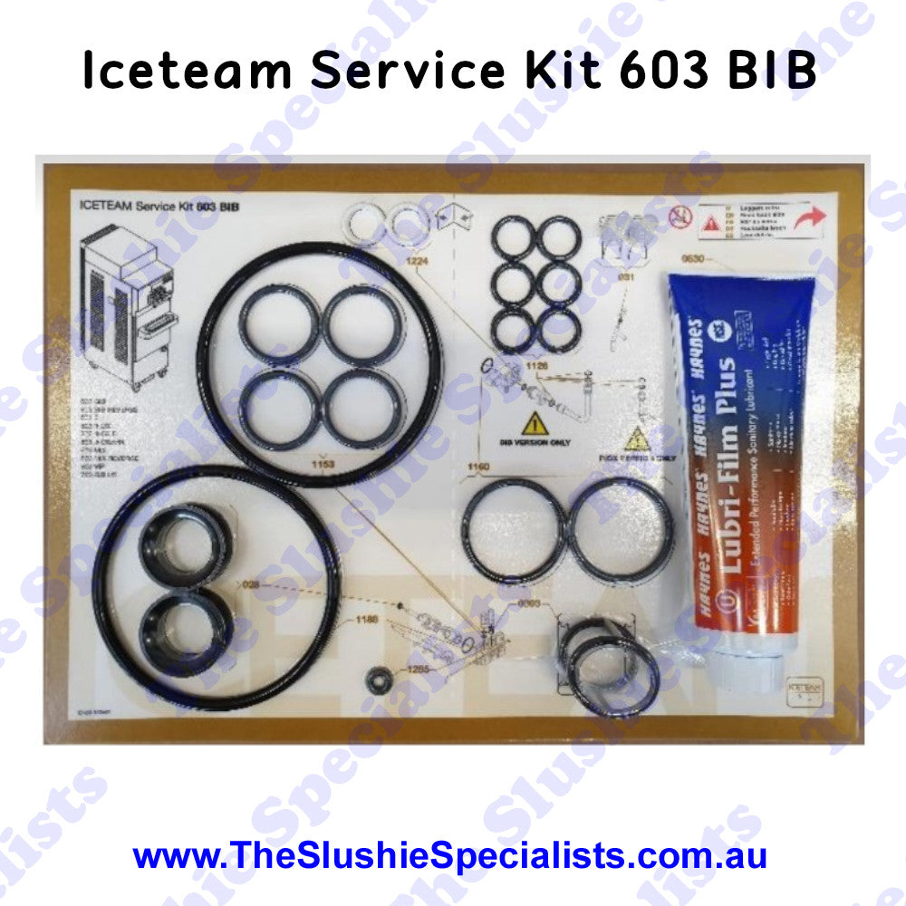 Iceteam / Carpigiani 603 BIB - Service Kit